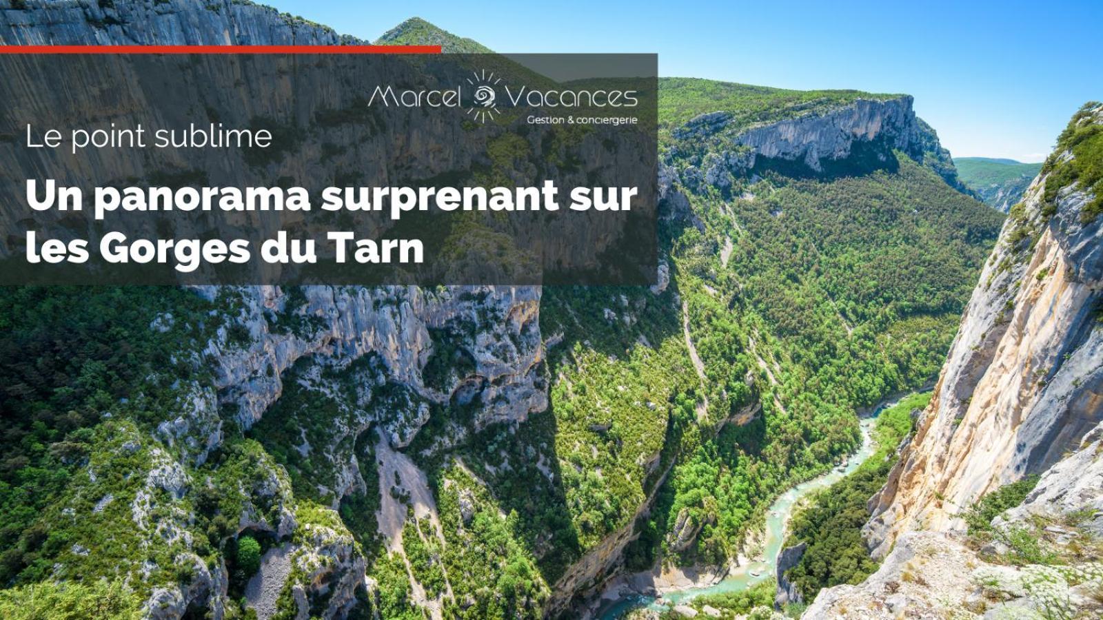 Gorges Du Tarn Gite En Pierres Avec Terrasse Quezac  エクステリア 写真