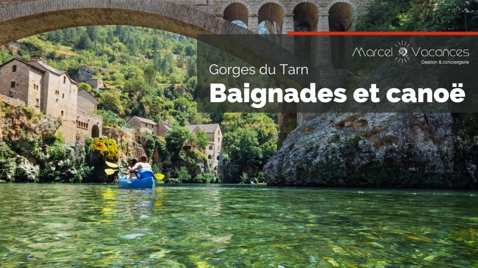 Gorges Du Tarn Gite En Pierres Avec Terrasse Quezac  エクステリア 写真